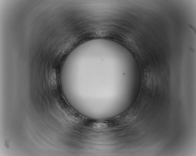 X0000102250220200808081418