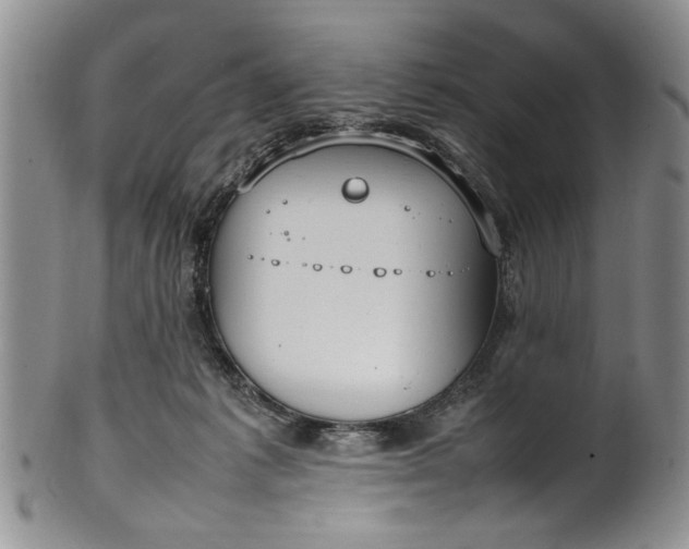 X0000102250221200808081418