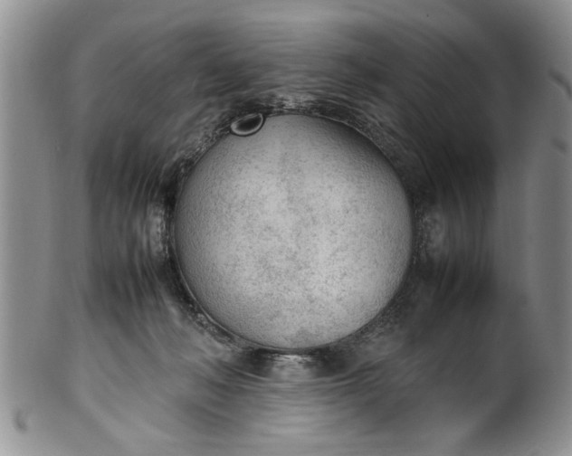 X0000102250222200808081418