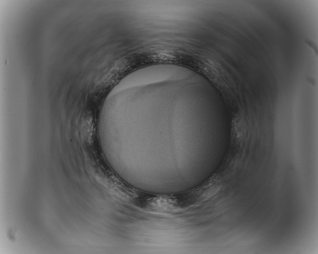 X0000102250223200808081418