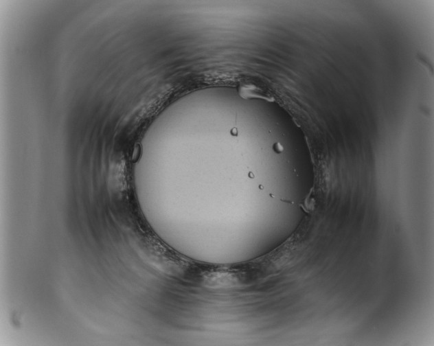 X0000102250224200808081418