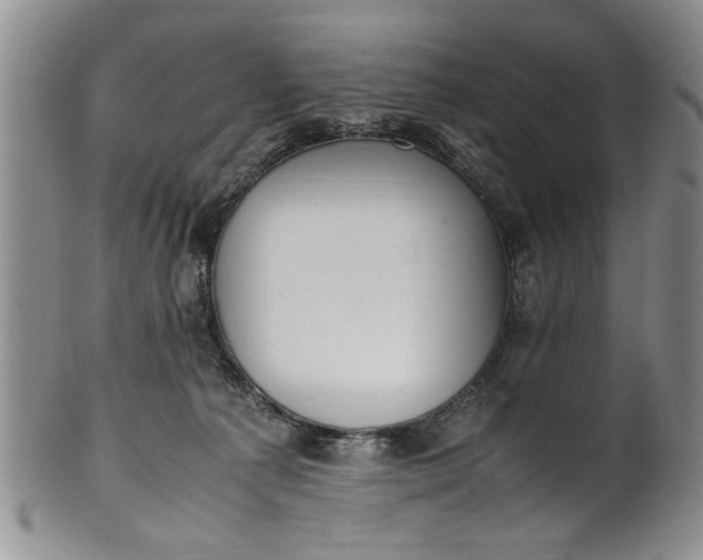 X0000102250225200808081418