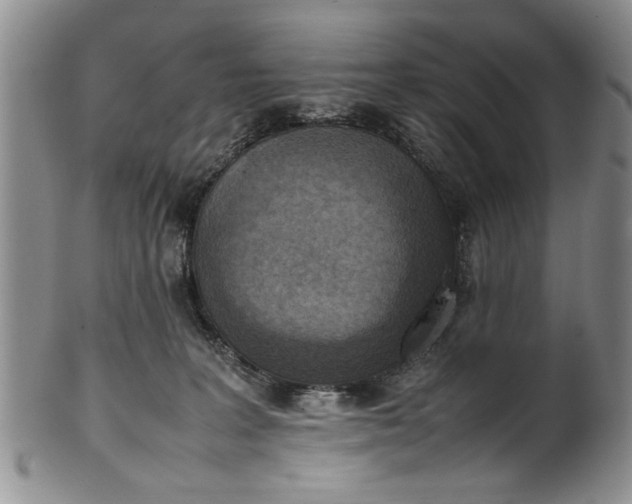 X0000102250227200808081418