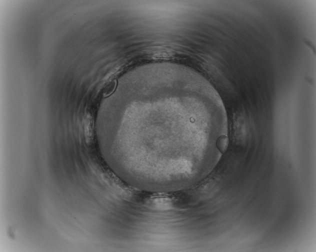 X0000102250228200808081418