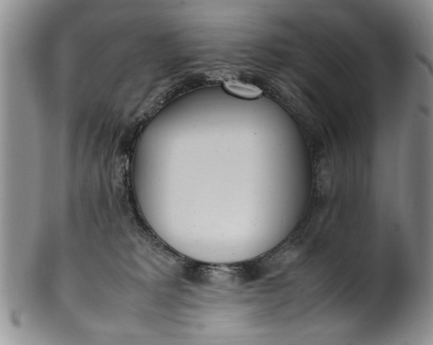 X0000102250229200808081418