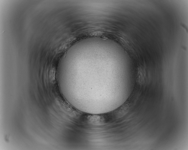 X0000102250230200808081418