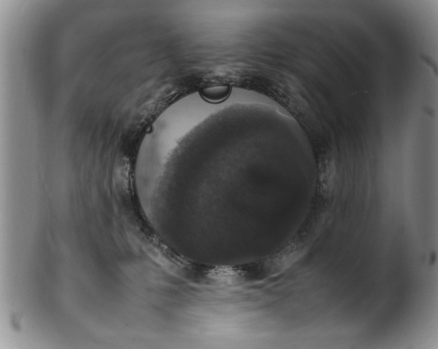 X0000102250231200808081418