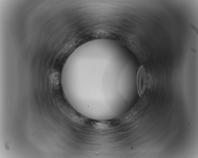 X0000102250232200808081418