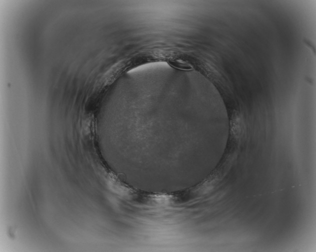 X0000102250233200808081418