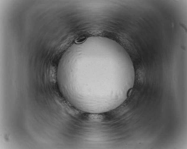 X0000102250234200808081418