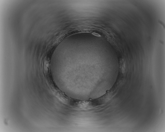 X0000102250235200808081418