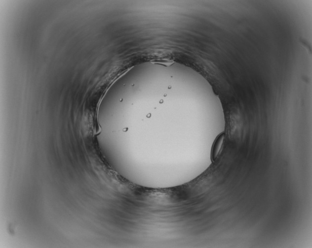 X0000102250236200808081418