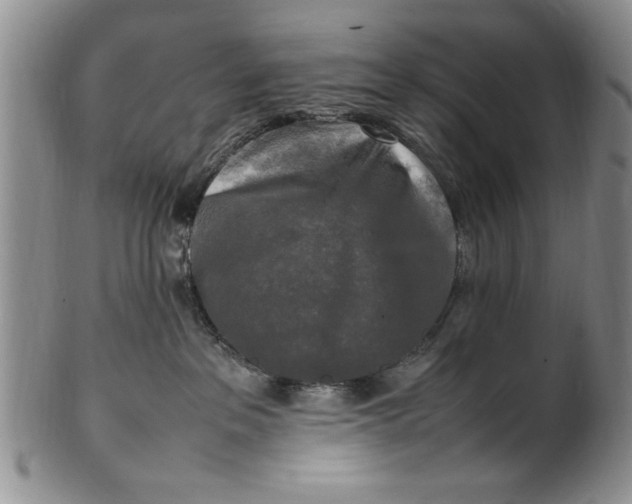 X0000102250237200808081417