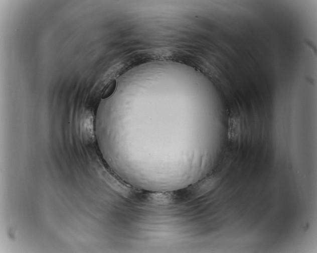 X0000102250238200808081417