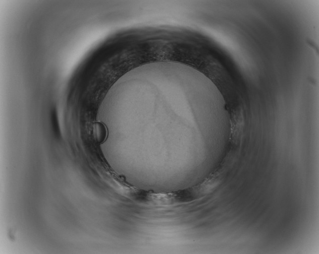 X0000102250239200808081417