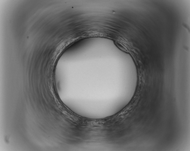 X0000102250241200808081417