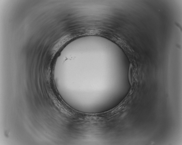 X0000102250242200808081417