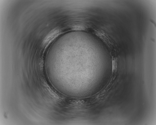 X0000102250243200808081417