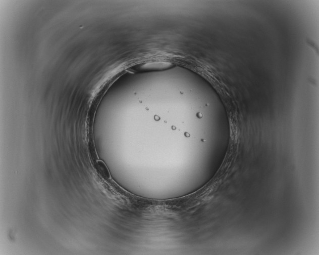 X0000102250244200808081417