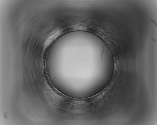 X0000102250245200808081417