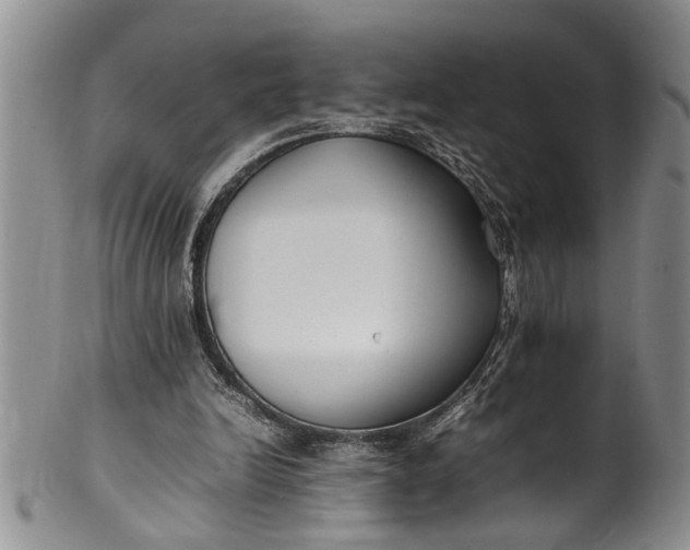 X0000102250246200808081417