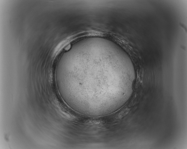 X0000102250247200808081417