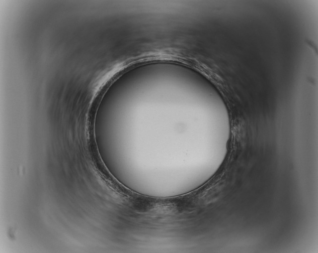 X0000102250248200808081417