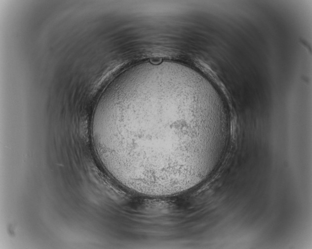 X0000102250249200808081417