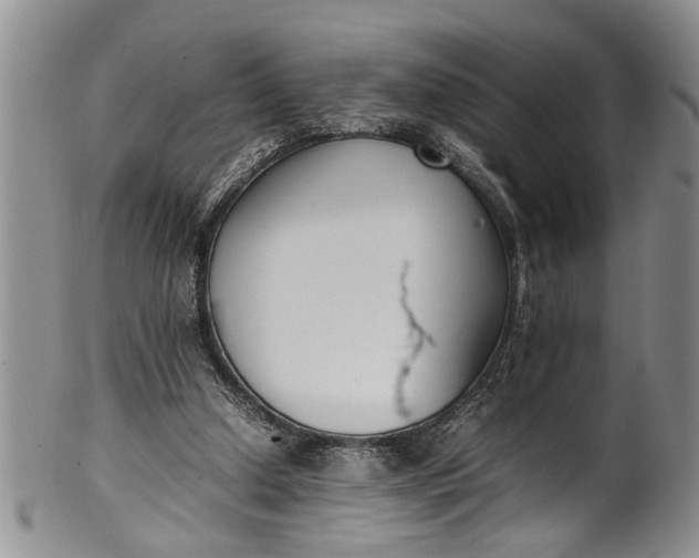 X0000102250250200808081417