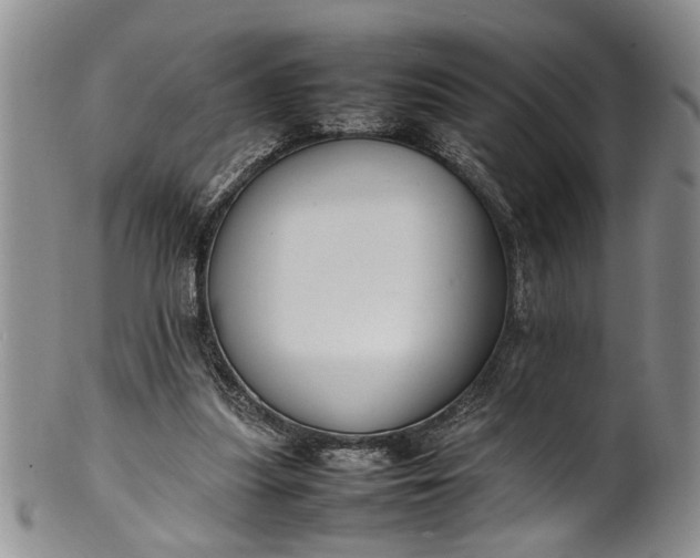 X0000102250251200808081417