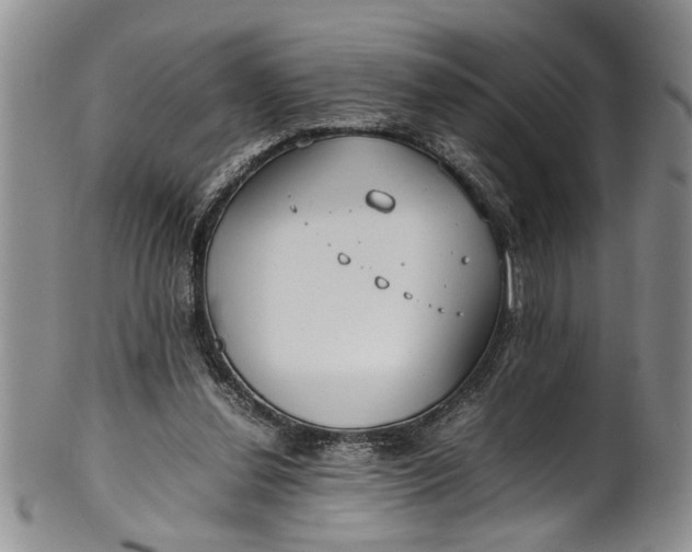 X0000102250252200808081417