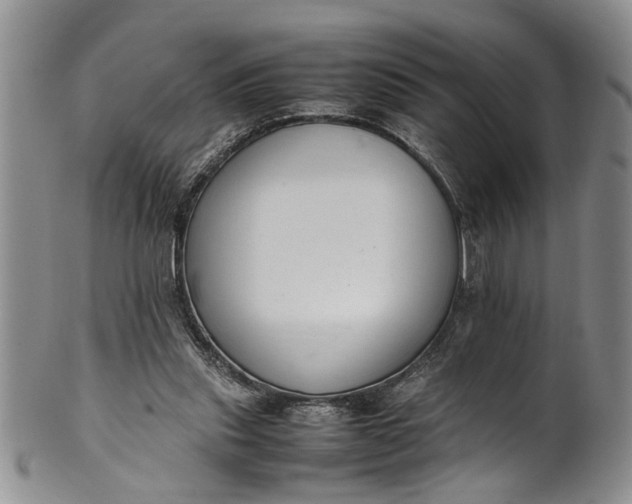 X0000102250253200808081417