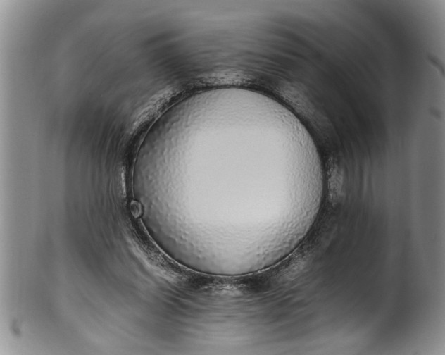 X0000102250254200808081417