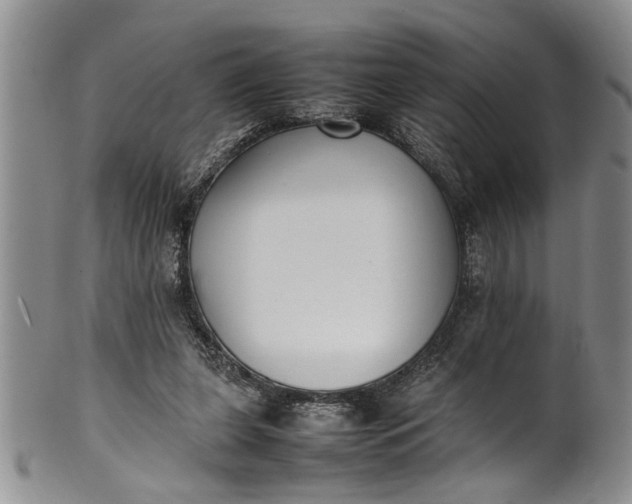 X0000102250255200808081417