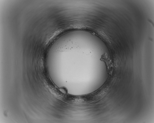 X0000102250256200808081417