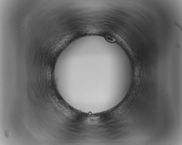 X0000102250257200808081417