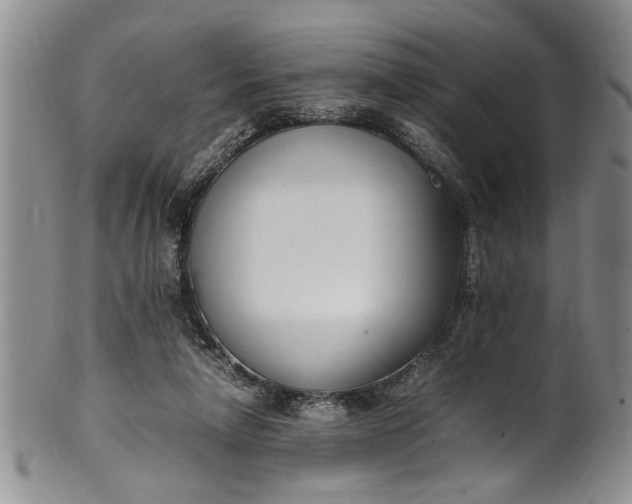 X0000102250258200808081417