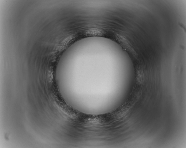 X0000102250259200808081417