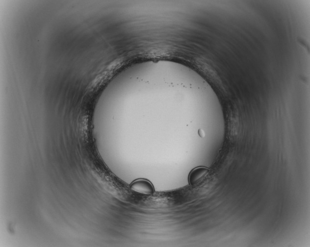 X0000102250260200808081417