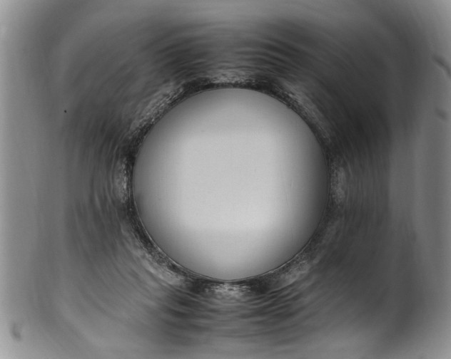 X0000102250261200808081417