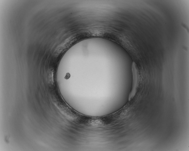 X0000102250262200808081417