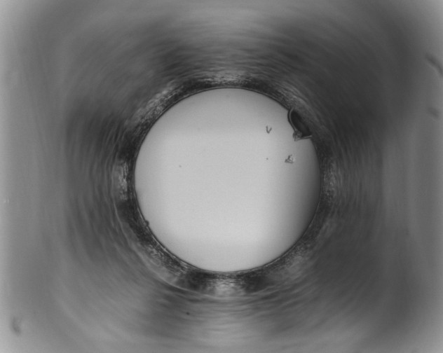 X0000102250264200808081417