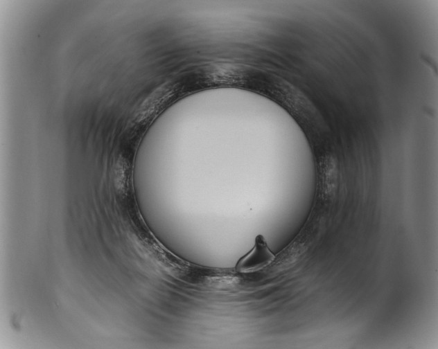 X0000102250266200808081417