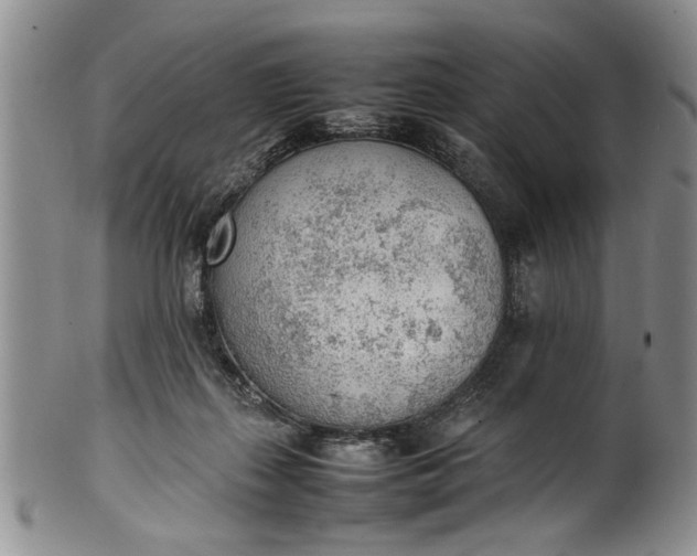 X0000102250267200808081417