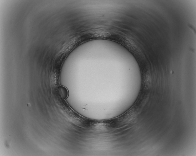 X0000102250268200808081417