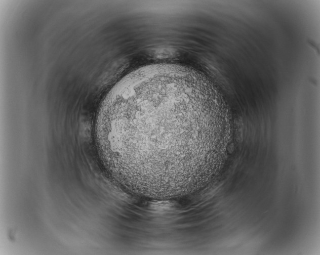 X0000102250269200808081417