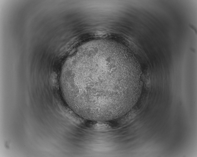 X0000102250270200808081417