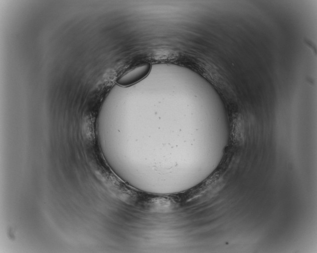 X0000102250272200808081417