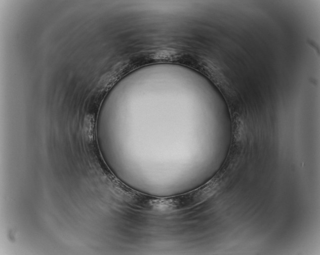 X0000102250273200808081417