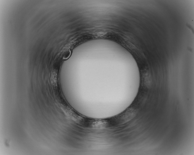 X0000102250274200808081417